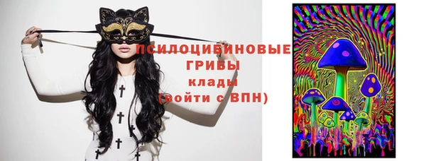 винт Армянск