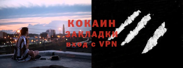 спайс Арсеньев