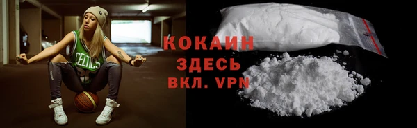 спайс Арсеньев