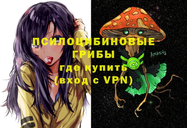 спайс Арсеньев