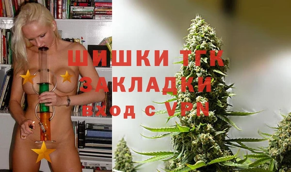 спайс Арсеньев
